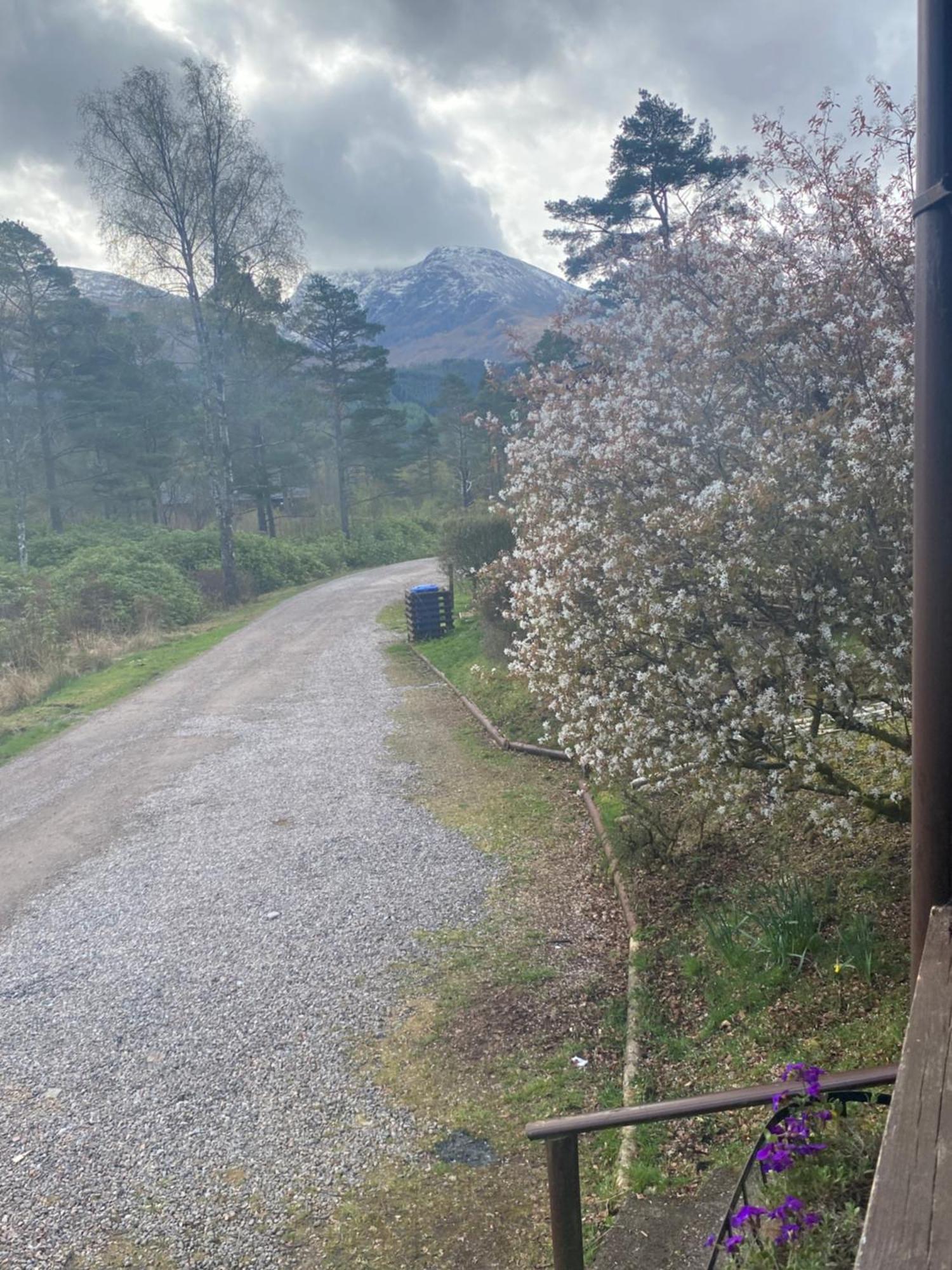 Kingswood Lodges Fort William Exteriör bild
